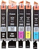 Canon OEM Genuine PGI-250 & CLI-251 Colors (CMY) and PGI/CLI Black Ink Cartridges - 5 Pack - Bulk Package