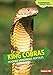 King Cobras: Hooded Venomous Reptiles (Comparing Animal Traits)