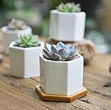 SUN-E Modern White Ceramic Succulent Planter Pots / Mini Flower Plant Containers with Bamboo Saucers (Hexagonal)