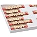 WECANDO 84 Pcs Dental Synthetic Resin Tooth Denture 3 Sets False Teeth for Halloween Horror Teeth 23 A3