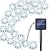 Qedertek Solar Christmas Lights, 19ft 30 LED Flower Waterproof Garden Decoration Lighting for Indoor/Outdoor, Patio, Lawn, Garden, Christmas, and Holiday Festivals (White)