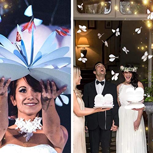 TTbuy 5pcs Valentine's Day Special - The Magic Butterfly Insert Cards or Books - Flying Butterfly Card Surprise, Wind-up Flying Butterflies - Pop up Flying Toys (5 pcs)