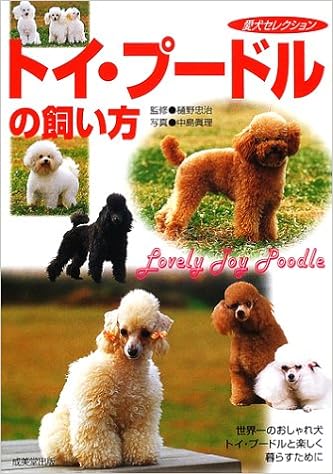 �g�C�E�v�[�h���̎������\���E��̂�����ꌢ�g�C�E�v�[�h���Ɗy������炷���߂� (�����Z���N�V����) �P�s�{ - 2002/4/1