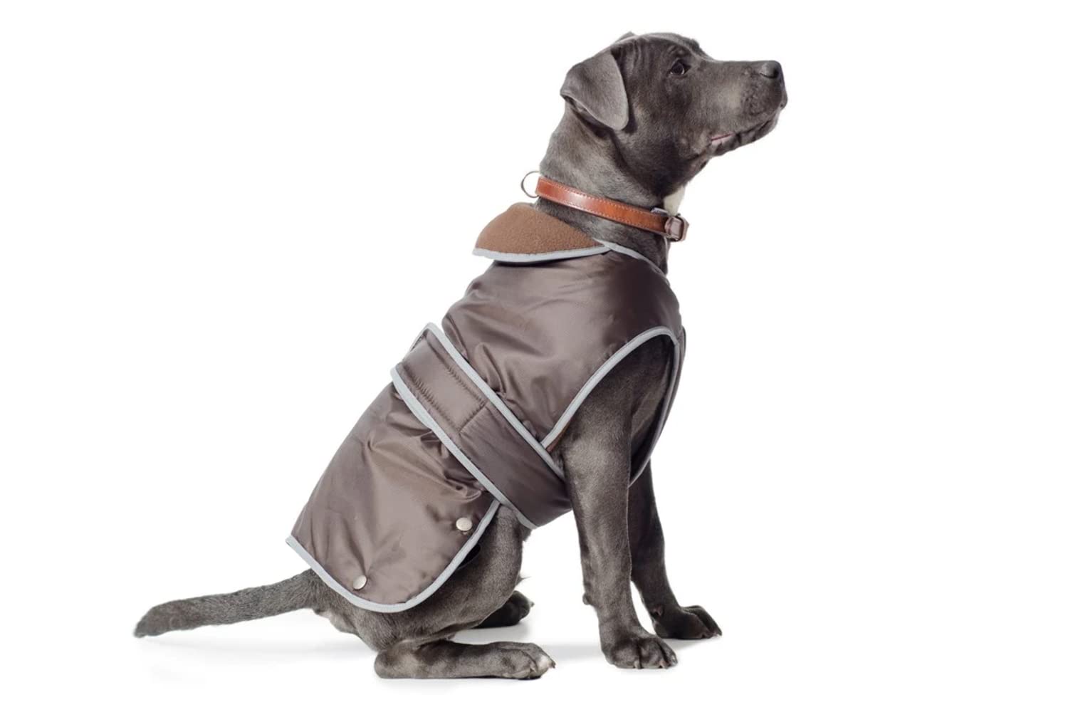 Ancol Muddy Paws All Weather Stormguard Coat Chocolate.Size X-Small (Length 25cm, up to 43cm girth)