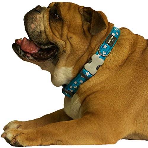 Red Dingo Stars Dog Collar, Turquoise/White, 15mm