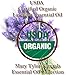 Lavender Essential Oil (4 oz) Premium Therapeutic Grade, 100% Pure and Natural, Perfect for Aromatherapy, Diffuser, DIY by Mary Tylor Naturals
