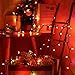 ⭐️Halloween String Lights - 24ft 100 Incandescent Orange&Purple&Green Mini Bulbs Lights, Halloween Lighting Decor for Outdoor&Indoor Use, Fairy Garden, Yard, Home, Party, Holiday, Halloween Decoration