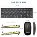 Wireless Keyboard and Mouse,FENIFOX Full-Size USB Dual System Switching Double Ergonomic Whisper-Quiet Compatible with PC Desktop Computer macOS Windows -Silver White (Black Gold)