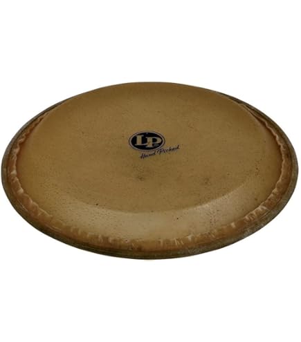 Amazon.com: Latin Percussion LP265A 11-Inch Rawhide Quinto Head