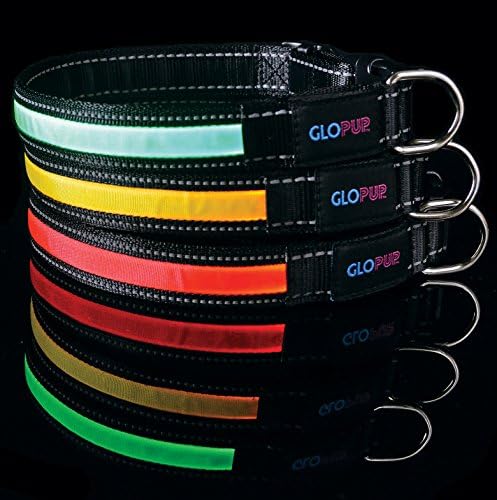 GLOPUP LED Dog Collar - Green - Extra-Large - Glow In The Dark - Makes Your Dog Visible And Safe - Reflective Stitching