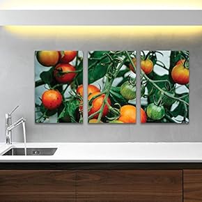 3 Panel Canvas Wall Art - Red and Green Tomatos - Giclee Print Gallery Wrap Modern Home Art Ready to Hang - 16"x24" x 3 Panels