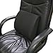 BackSaver Comfort Foam Lumbar Support Back Cushion - Mesh Polyester Cloth - Stress Pain & Ache Relief for Lower Back & Posture (Black)