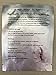 VOE Eyelash Pad Gel Patch Lint Free Lashes Extension Eye Mask Tools (100 pairs)