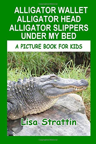alligator slippers