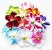 (100) Assorted Hawaiian Plumeria Frangipani Silk Flower Heads - 3