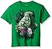 Marvel Big Boys' the Hulk T-Shirt