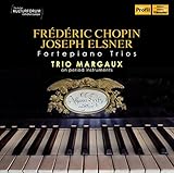 FREDERIC CHOPIN AND JOSEPH ELSNER:FORTEPIANO TRIOS image