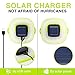 Solar Portable Led Camping Lantern Lights Outdoor -Tabletop Lantern Rechargeable Emergency Light Collapsible Flashlight- Solar or USB Chargeable for Outdoor Hiking Tent Garden (Green)