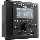 DS18 RVR1 RV Headunit LCD Screen, 2 Zones, 4 Volts Output, FM/AM, MP3, USB, HDMI, Bluetooth, RDS 4X40 Watts - Great Stereo Re