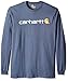 Carhartt Men's Big-Tall Signature Logo Jersey Long Sleeve T Shirt Graphic