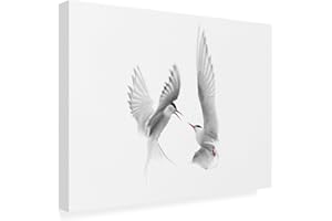 Wrapped Canvas Wall Art - Fabiola Forns 'Arctic Terns' Wall Art for Living Room, Bedroom, or Office Décor - 14x19