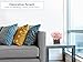 Royal Imports Flower Glass Vase Decorative Centerpiece for Home or Wedding - Clear Cube Shape, 4