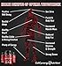 Natural Testosterone Booster for Men Vitamins - Potent Formula with Tribulus Terrestris | for Energy Levels, Stamina Fuel for Men | Metabolism Booster for Fat Loss | Builds Muscle Mass, 90 Capsules