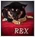 Dog Blanket (Red)