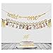 Baby's 1st Birthday Decorations- 12 Month Photo Banners,Wild One Birthday Banners,Wild One Cupcake Topper,the Wild One Party Supplies (wild one) (Gold)