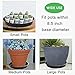 GROWNEER 6 Packs 10 Inches Plant Saucer Drip Trays, Round Plastic Plant Pot Saucers Flower Pot Set for Indoor Outdoor Garden, Blackthumb 3