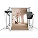 LFEEY Vinyl Thin Backdrop 3x5ft Photography Background Modern Theme Indoor Room Decor Scene for Wedding Portraits Backdrop,1(W)x1.5(H)m for Photo Studio Props