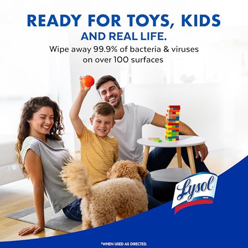 LYSOL DISINFECTING WIPES BUNDLE, HOME APARTMENT DORM ROOM ESSENTIALS AND CLEANING SUPPLIES, ALL PURPOSE CLEANER, MULTI-SURFACE CLEANING WIPES, MULTI-SCENT SANITIZING WIPES BUNDLE, 80 COUNT (4PK)