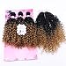 FRELYN Loose Wave Synthetic Hair Weave Bundles with Closure Ombre Color T1B/27 Black to Dirty Blonde 16 18 20 Inches Bundles with Lace Closure