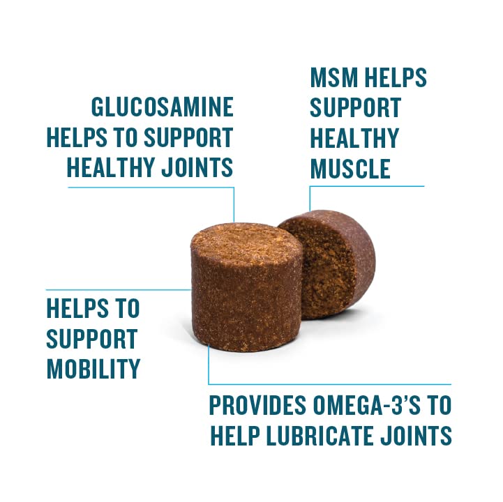 VetIQ Hip & Joint Supplement for Dogs, Anti Inflammatory Joint Support