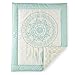 Levtex Baby Little Feather Aqua 5 Piece Crib Bedding Set, Quilt, 100% Cotton Crib Fitted Sheet, 3-tiered Dust Ruffle, Diaper Stacker and Large Wall Decals