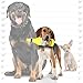 SILLY SQUEAKERS – Beer Bottles - Dog Toy - 100% Vinyl. Made Durable & Strong. Novelty Play Toy. 14 Bottles to Choose from and it Floats (Cataroma)