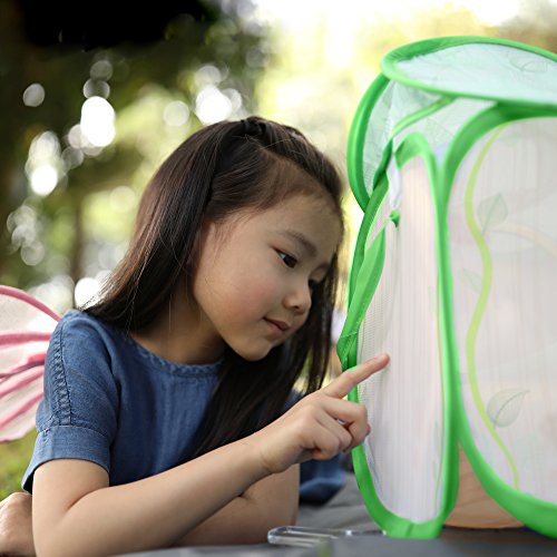 Educational Insights Geosafari Jr. Butterfly Bungalow: Life Science Introduction & STEM Learning - //medicalbooks.filipinodoctors.org