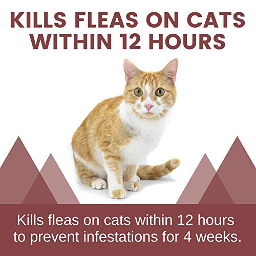 Adventure Plus Flea Prevention for Cats Topical Flea Treatment for