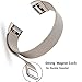 Maledan Replacement Metal Bands for Fitbit Charge 2, Stainless Steel Milanese Bracelet Strap with Magnet Lock for Fitbit Charge 2 HR, Champange Small