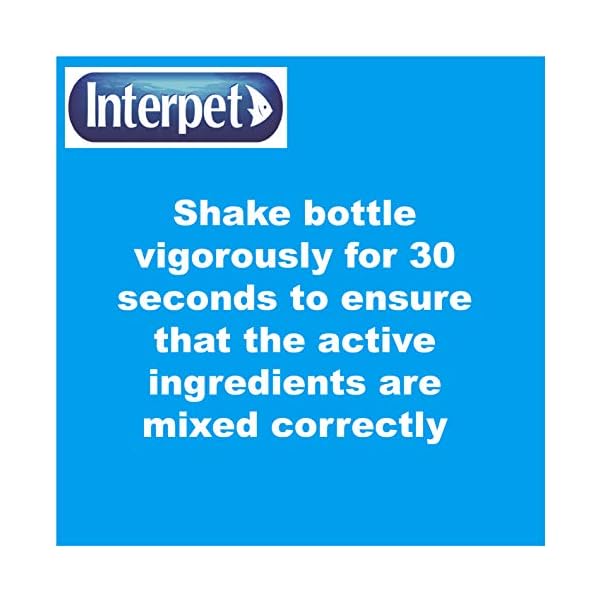 Interpet-Anti-Fungus-and-Finrot-Aquarium-Fish-Treatment-100-ml Interpet Anti Fungus and Finrot Aquarium Fish Treatment, 100 ml