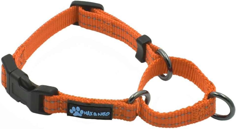 Max and Neo Nylon Martingale Collar We Donate a Collar to a Dog