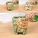 ROSE CREATE 6 Pcs 2.75 Inches Mini Ceramic Succulent Plant Pots (Green)