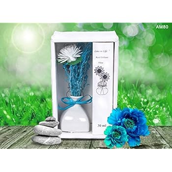 Smart Sense Ceramic Bottle Aromatherapy Essential Oil Set Natural Incense(Ocean) 30ml, Reed Diffuser with Decorative Dried Flowers(Blue