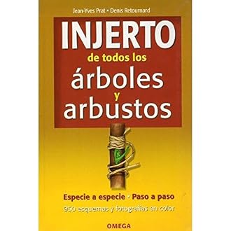 Amazon.es Los más vendidos: Los productos más populares en ...