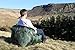 Treadway Bean bag chairs, fishing chair, deck chair, Air Chair, inflatable sofa, air lounger, hangout, hammock, tent peg, pocket, stake loop (Covert Camo)