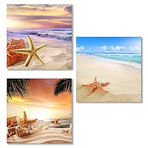 3 Piece Canvas Wall Art for Living Room, Bedroom Seashell Starfish on Beach Canvas Prints for Home Decoration Ready to Hang - 12"x12"x3 Panels