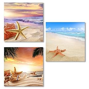 for Living Room Bedroom Seashell Starfish on Beach...