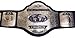WCW WORLD TELEVISION Championship Child/Kid Size Replica BELT