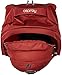 Osprey Packs Farpoint 70 Travel Backpack, Jasper Red, Small/Medium