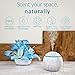 130ml Air Diffuser for Essential Oils | Cool Mist Air Humidifier | Portable Oil Diffusers | Waterless Auto Shut-off Humidifiers for Bedroom, Office, Bathroom or Any Room with 7 LED Color Lightthumb 2